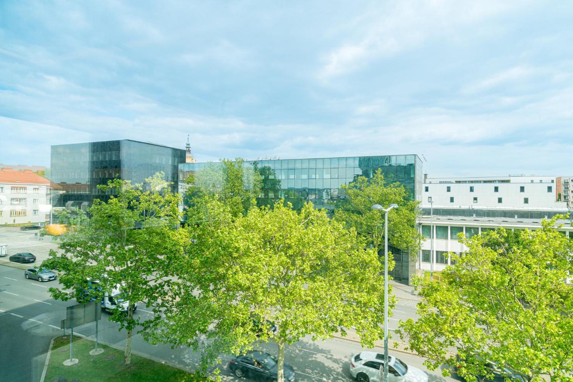 Deluxe Suite met 1 Slaapkamer en Uitzicht op de Stad
